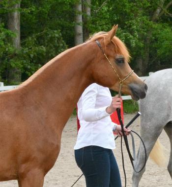 Abraham Umm, vinner klassen med 91,33p