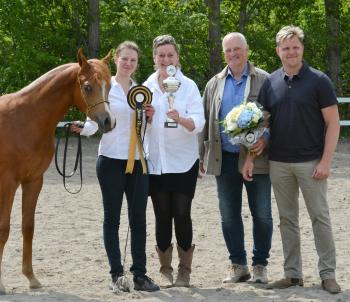 Abraham Umm utses till Junior Stallion Gold Champion &amp; Winner Most Classic Head