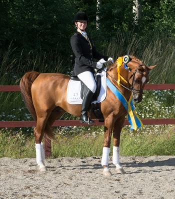 Swedish Gold Medalist in Dressage 2015