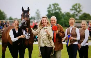 ZSA ZSA DOLORES Classwinner Scandinavian All Open