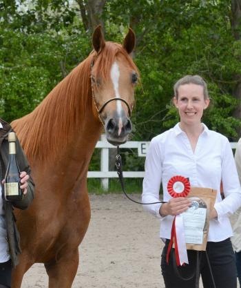 EDEN ESTANCJA; Silver Champion Mare & Classwinner